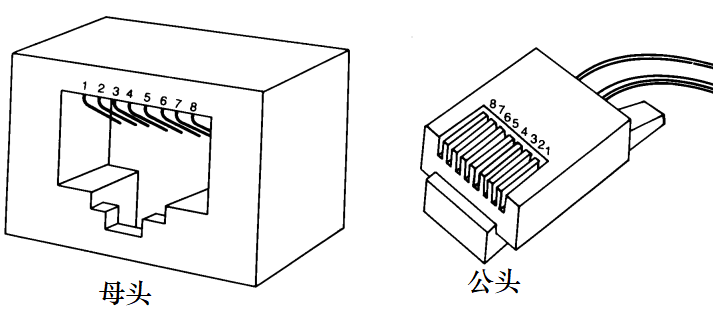 RJ45.png