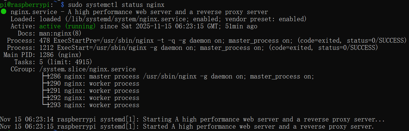 nginx_status.png